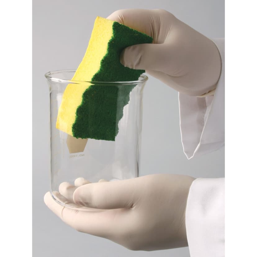 SPONGE,GLASSWARE SCRUBBING (2/PK)
