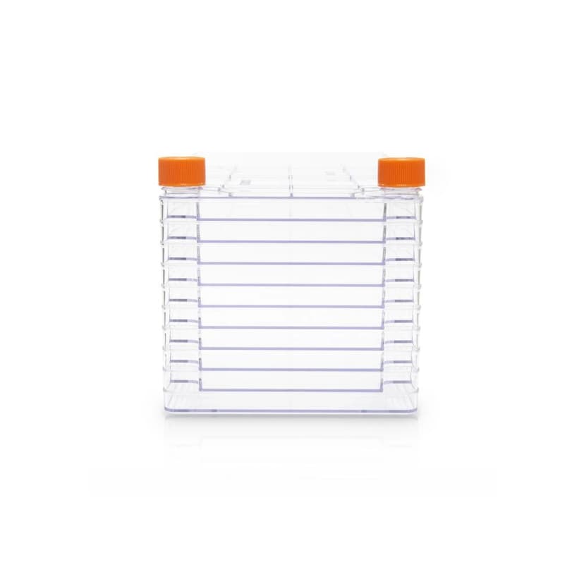 Corning CellSTACK, 10-layer Polystyrene vessel with Vent Caps, CellBIND treated Growth Surface, Sterile, 1 per bag, 6 per case