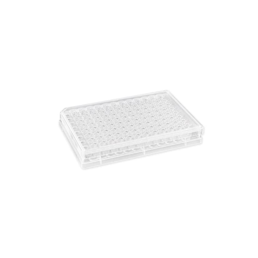 Corning HTS Transwell-96 Permeable Support with 3.0m Pore Polycarbonate (PC) Membrane, Sterile, 4/Pack, 8/Case