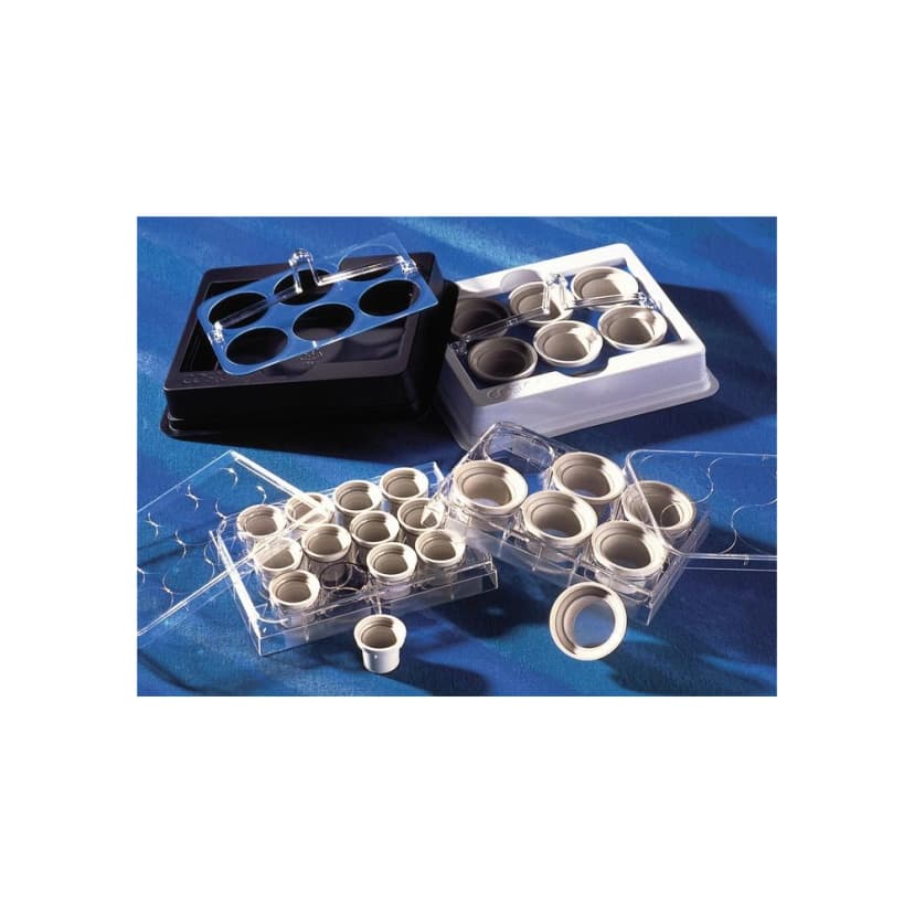 Costar 15mm Netwell Insert with 74m Mesh Size Polyester (PET) Membrane, Sterile, 12/Pack, 48/Case