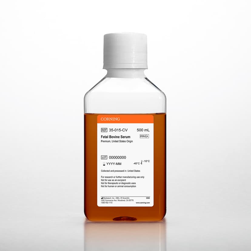 Corning® 100mL Fetal Bovine Serum, Regular, Gamma Irradiated, New Zealand
