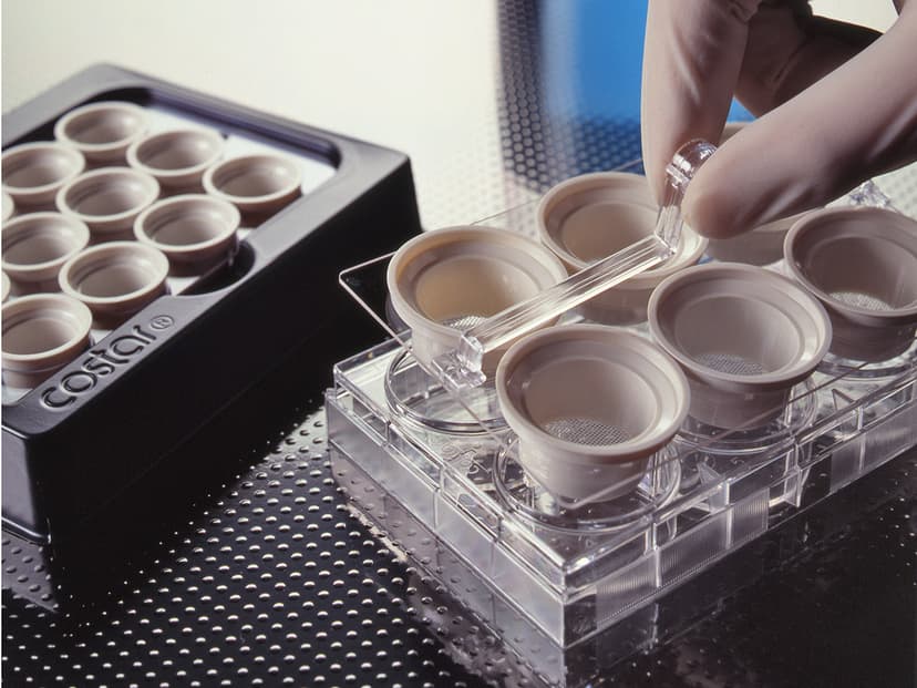 Costar Netwell 6 Well Carrier Kit for 24mm Inserts, Nonsterile, 8/Case