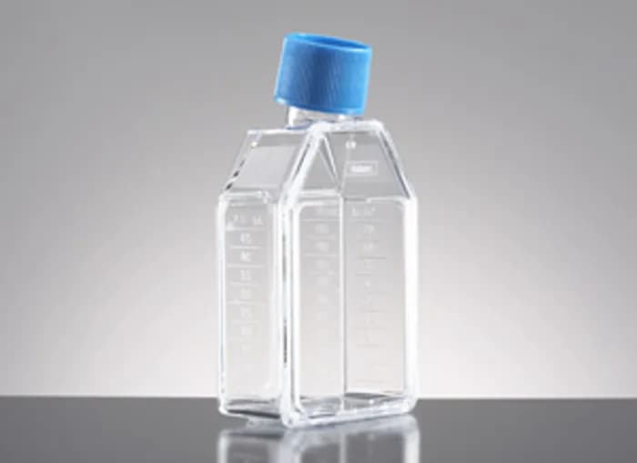 Corning BioCoat Poly-D-Lysine 25cm² Rectangular Canted Neck Cell Culture Flask with Vented Cap