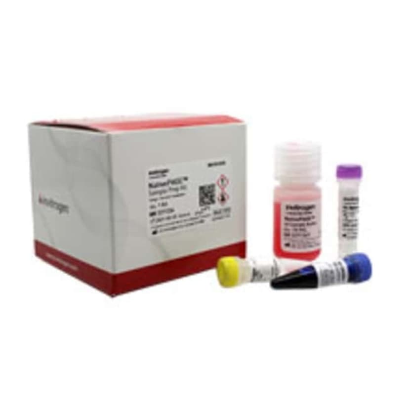 HLT 200 THINWALL CLR BULK NST