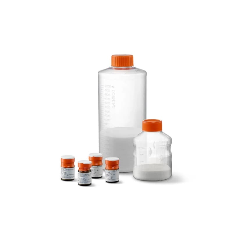 Corning Enhanced Attachment Microcarriers, 10g Vial