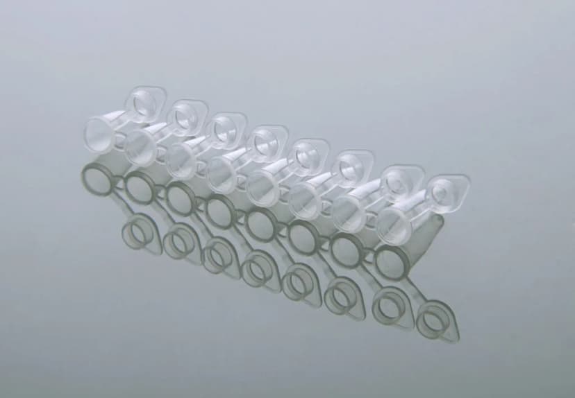 0.2ml PCR 8-strip Tubes, Individually attached flat caps, Clear, 120/pk,