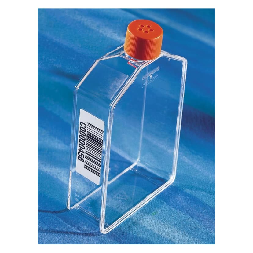 Corning CellBIND 175cm Angled Neck Cell Culture Flask with Vented Cap and Bar Code, 7/Pack, 84/Case