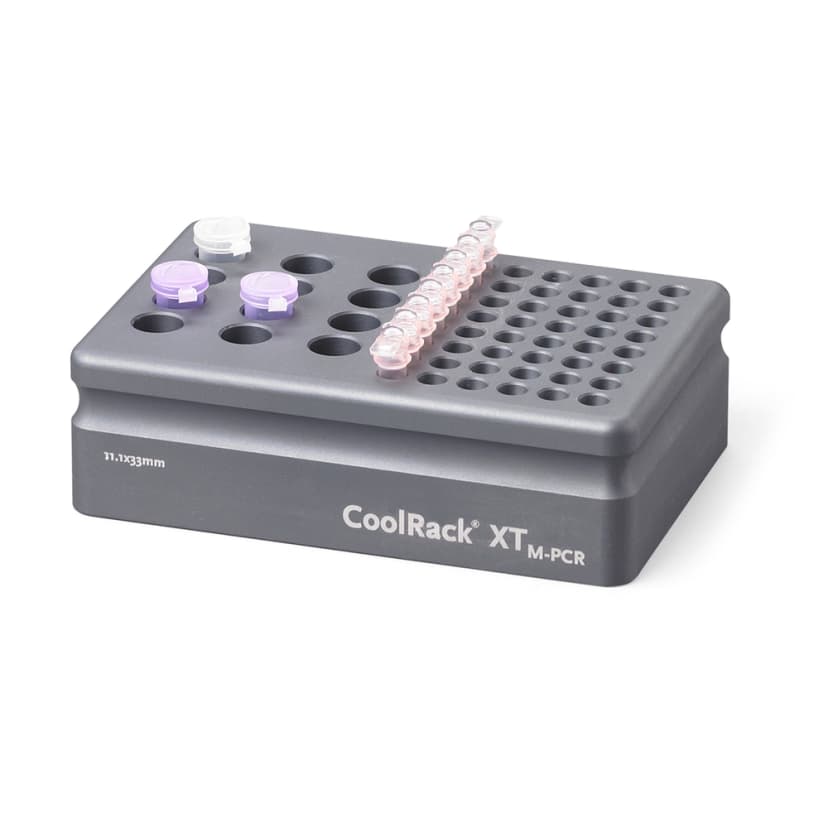 CoolRack XT-M-PCR, holds 12 x 1.5 or 2ml microfuge tubes and 6 strip wells