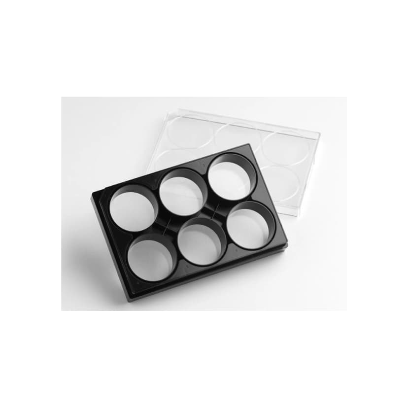 Corning 6 Well Black Clear Square Bottom Plasma Treated Micro-Cavity plate
