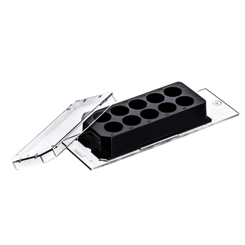 CELLVIEW SLIDE,GLASS BOT,10 COMPART,TC,S