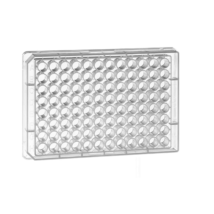 PP-MICROPLATE, 96 WELL FLAT BOTTOM,1