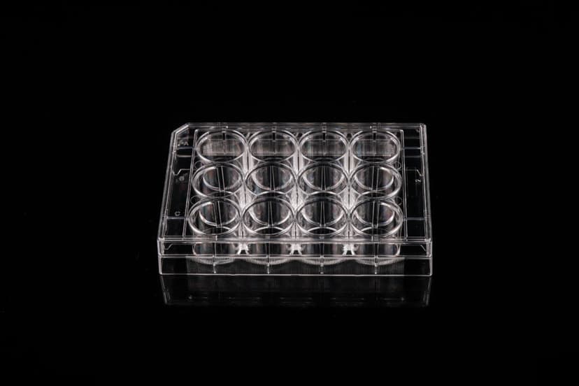 12 Well Cell Culture Plate, Flat, TC, sterile 1/pk, 50/cs