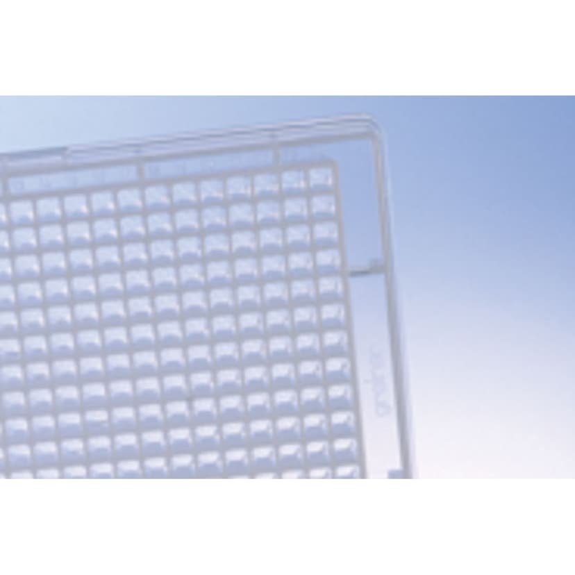 384W Plate, PP, Custom production, Flat Bottom, Natural