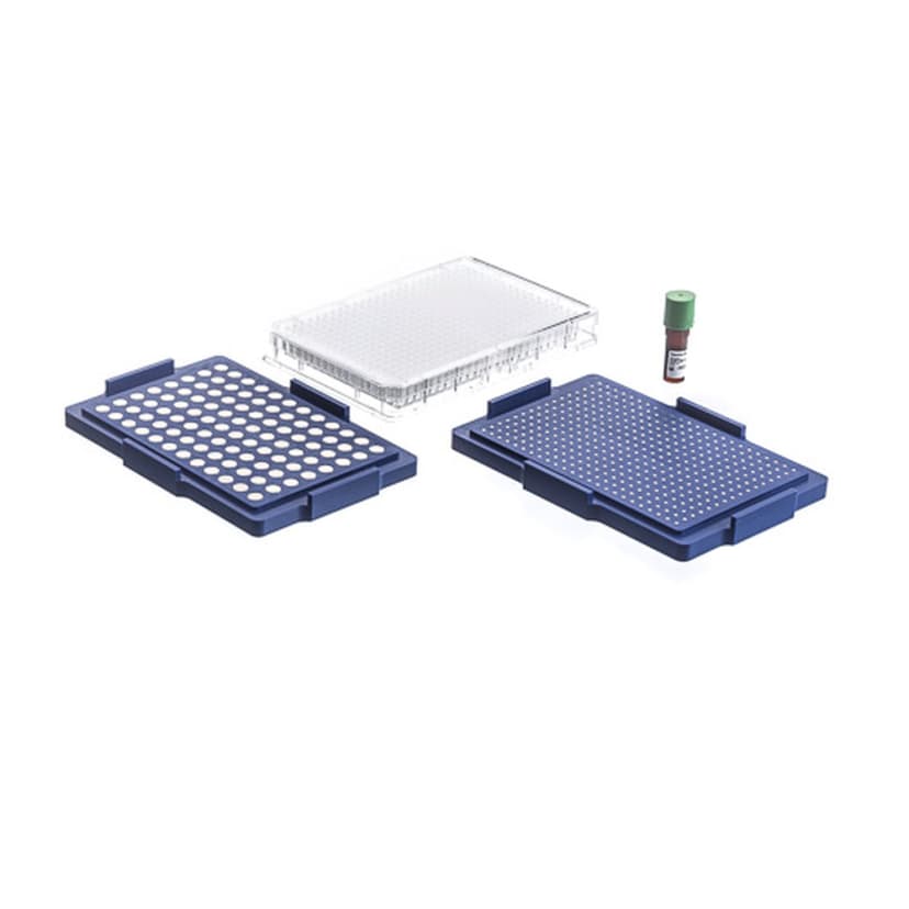384-WELL BIOPRINTING KIT, CLEAR