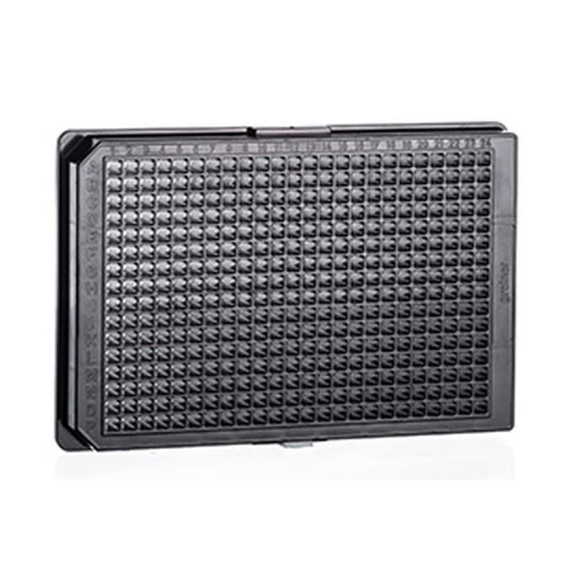 TC-PLATE, BLACK, 384 WEL POLY-L-LYSINE,