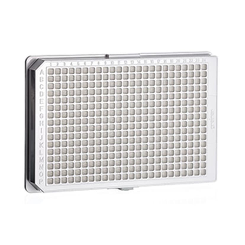 TC-PLATE, WHITE, 384 WELL POLY-D-LYSINE,