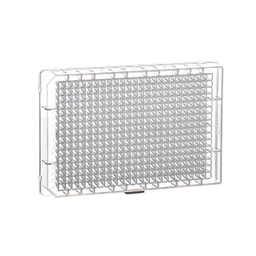 384 DEEP WELL PLATE, PP SMALL VOLUME, ST