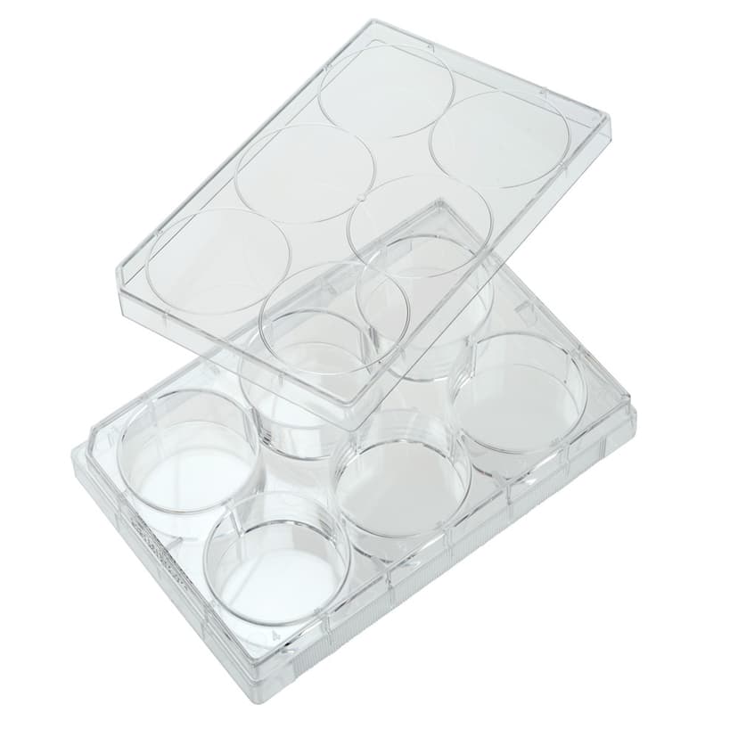 Multiple Well Plates TCT
