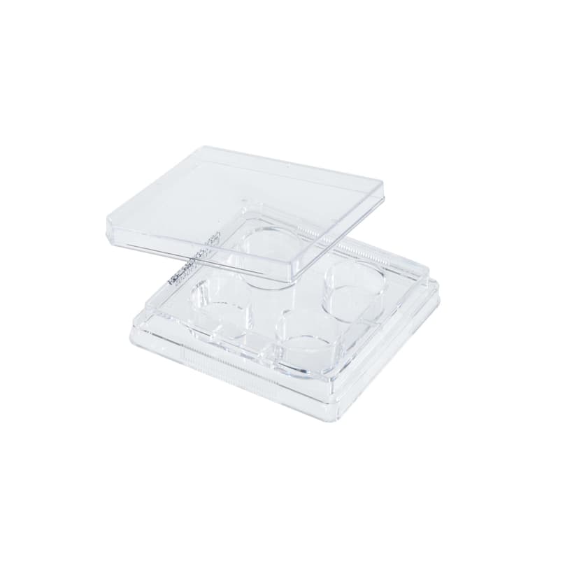 Multiple Well Plates TCT