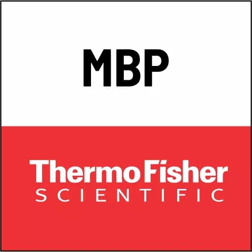 384 CLEAR, STERILE, FIL 5PK/CS