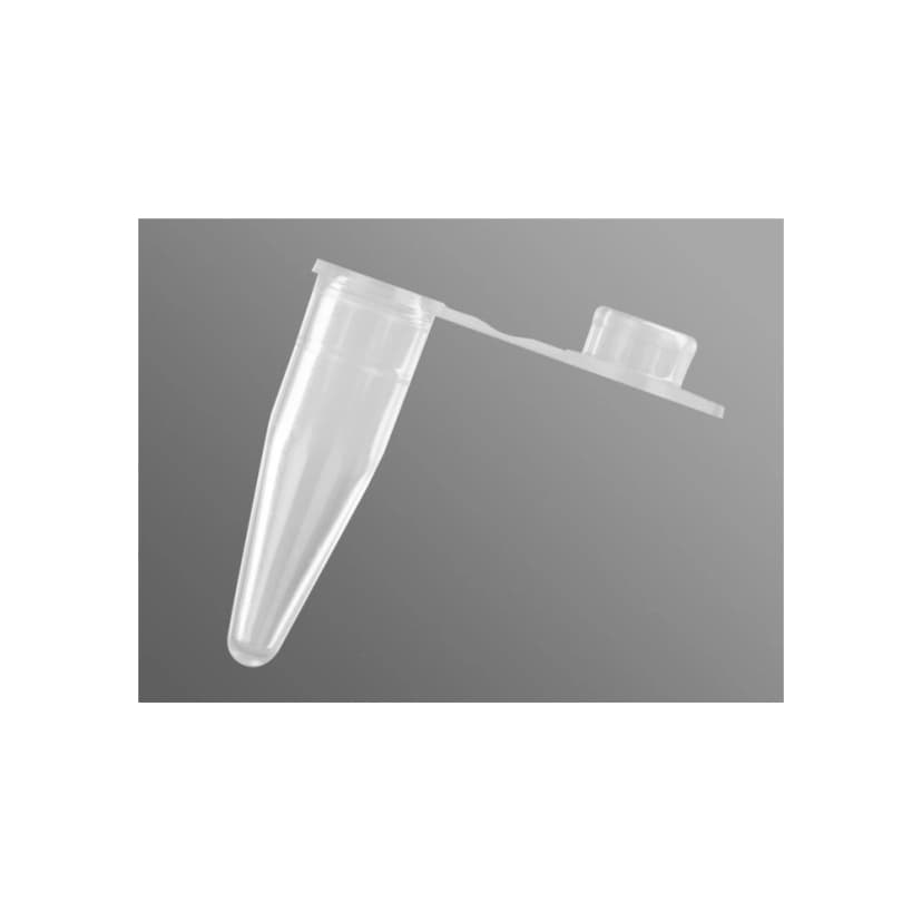 Axygen 0.5mL Thin Wall PCR Tubes with Flat Cap, Clear, Nonsterile