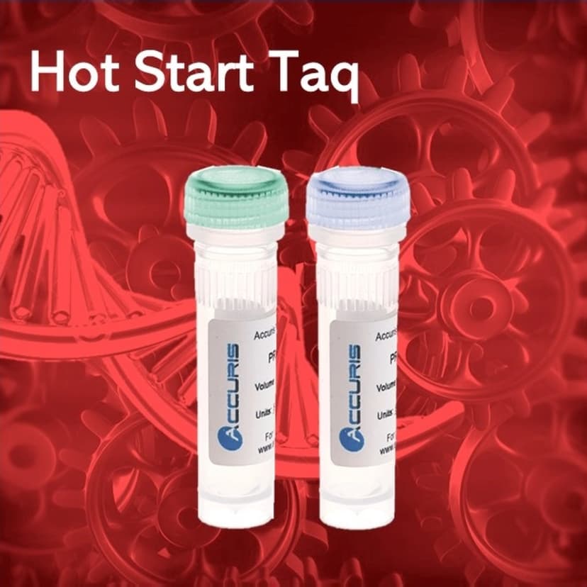 Accuris Hot Start Taq Master Mix Red Dye, 2X conc., 200 reactions