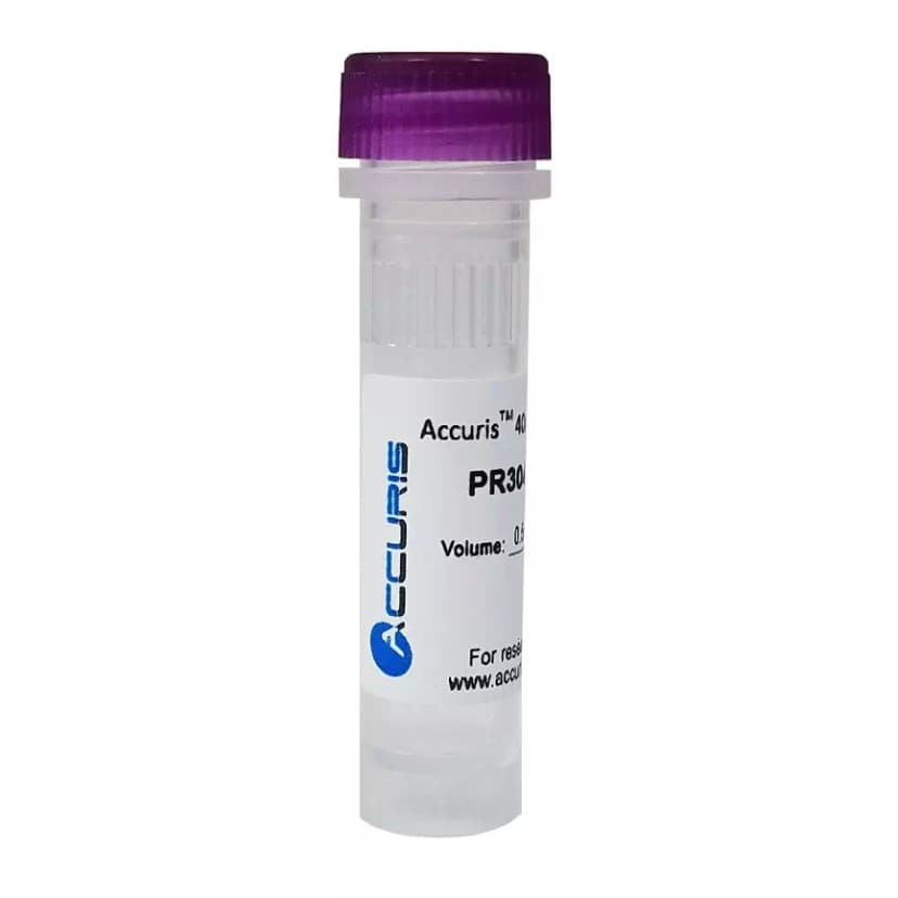 40mM dNTP Mix (10mM/20µmol each), 0.5ml