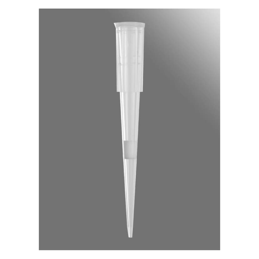 Axygen 20µL Maxymum Recovery Universal Fit Filter Tips Racked, Clear, Sterile, Rack Pack