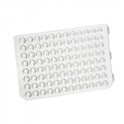 384-DEEP WELL TITER PLATE,PP,200ul, GREEN