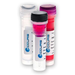 Accuris Hot Start Taq, 500 units